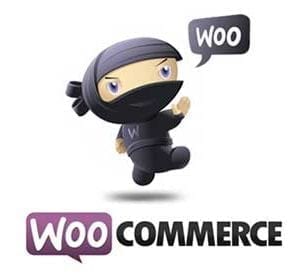 WooCommerce Web Design Oxford